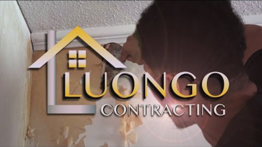 Luongo Contracting, LLC at Work 4K