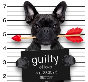 Pawsitively... guilty for Love! 