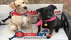 Inspector Bark Radio Show