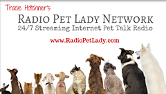 Dog Talk and Kitties too with Tracie Hotchner