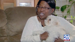 Fox News - Tenant Threatens Lawsuit to Keep Dog