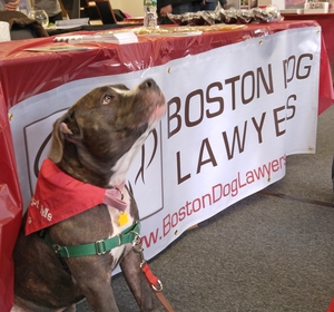 The Boston Dog Lawyers Trade Show guard dog!