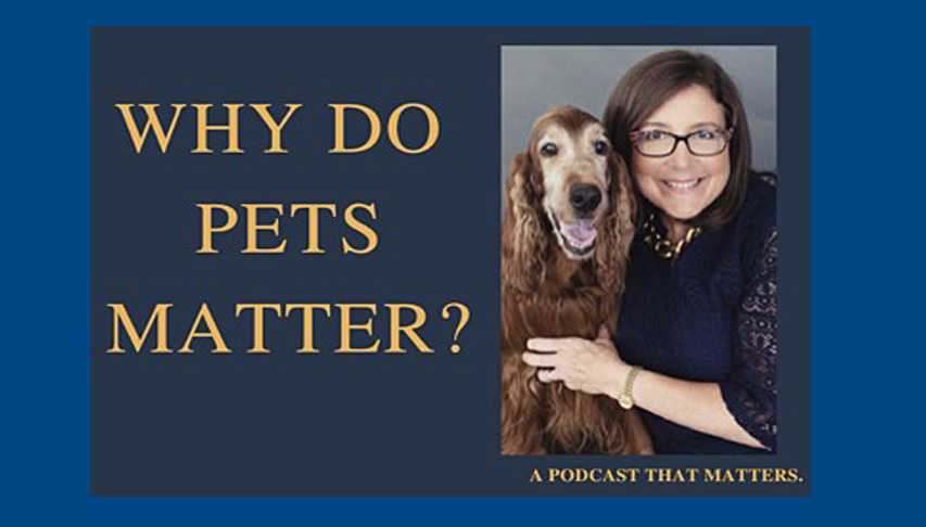 Why Do Pets Matter? with Debra Vey Voda-Hamilton, Esq.