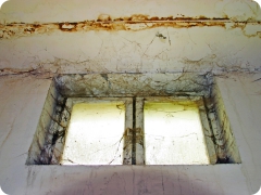 Ceiling and window dampness and mold.